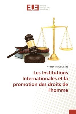 bokomslag Les Institutions Internationales et la promotion des droits de l'homme