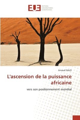 bokomslag L'ascension de la puissance africaine