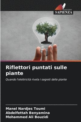 bokomslag Riflettori puntati sulle piante