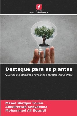 Destaque para as plantas