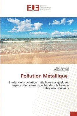 Pollution Métallique 1