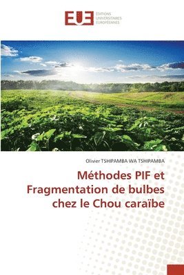 bokomslag Mthodes PIF et Fragmentation de bulbes chez le Chou carabe