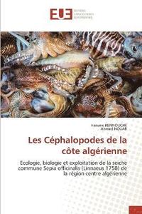 bokomslag Les Cphalopodes de la cte algrienne