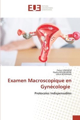 Examen Macroscopique en Gyncologie 1