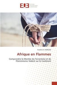 bokomslag Afrique en Flammes