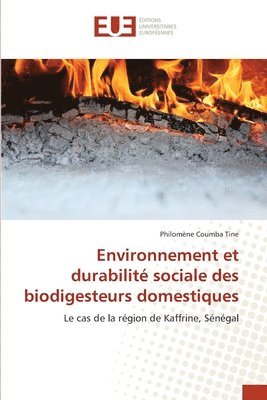 bokomslag Environnement et durabilit sociale des biodigesteurs domestiques