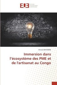 bokomslag Immersion dans l'écosystème des PME et de l'artisanat au Congo