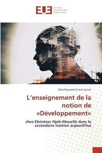bokomslag L'enseignement de la notion de Développement