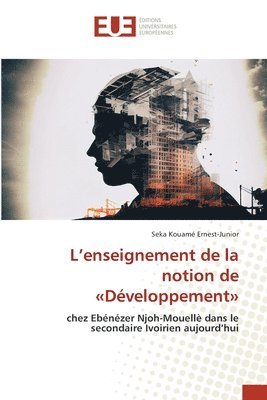 bokomslag L'enseignement de la notion de Développement