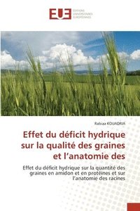 bokomslag Effet du dficit hydrique sur la qualit des graines et l'anatomie des