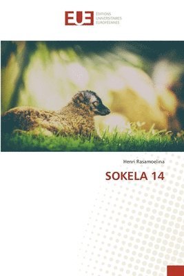 bokomslag Sokela 14