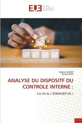 bokomslag Analyse Du Dispositf Du Controle Interne