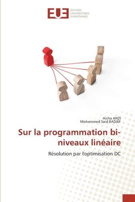 bokomslag Sur la programmation bi-niveaux linaire