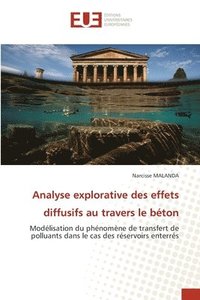 bokomslag Analyse explorative des effets diffusifs au travers le béton