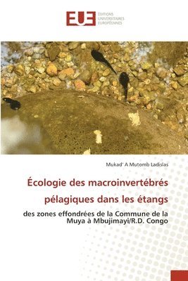 Écologie des macroinvertébrés pélagiques dans les étangs 1