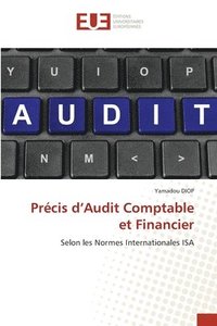 bokomslag Prcis d'Audit Comptable et Financier