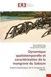 bokomslag Dynamique spatiotemporelle et caractrisation de la mangrove du Saloum