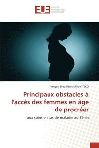 bokomslag Principaux obstacles à l'accès des femmes en âge de procréer