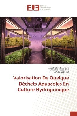 bokomslag Valorisation De Quelque Dchets Aquacoles En Culture Hydroponique