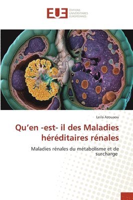 bokomslag Qu'en -est- il des Maladies hrditaires rnales