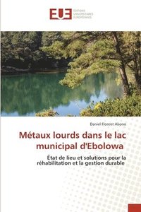 bokomslag Mtaux lourds dans le lac municipal d'Ebolowa