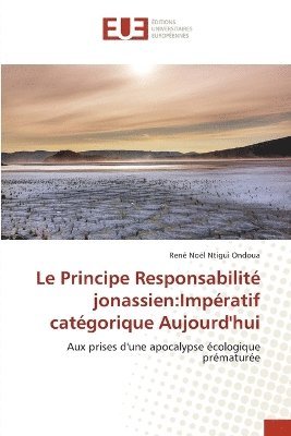 bokomslag Principe Responsabilité jonassien