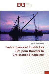 bokomslag Performance et Profits