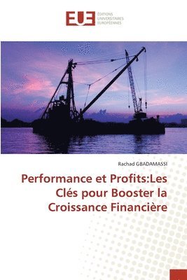 bokomslag Performance et Profits