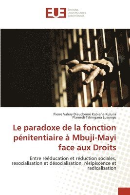 bokomslag paradoxe de la fonction pénitentiaire à Mbuji-Mayi face aux Droits