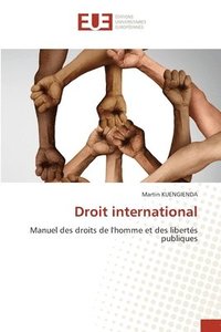 bokomslag Droit international