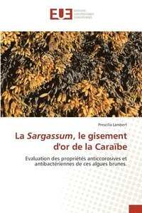 bokomslag Sargassum, le gisement d'or de la Caraïbe