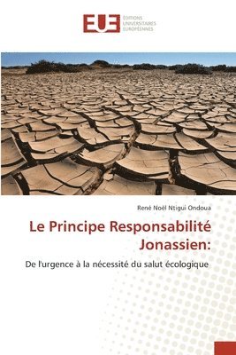 bokomslag Principe Responsabilité Jonassien