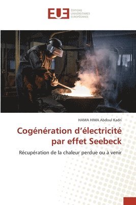 bokomslag Cogénération d'électricité par effet Seebeck