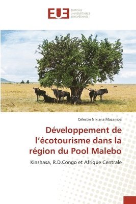 bokomslag Développement de l'écotourisme dans la région du Pool Malebo