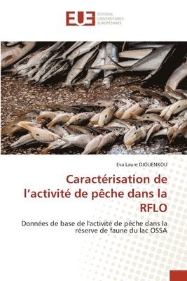 bokomslag Caractérisation de l'activité de pêche dans la RFLO