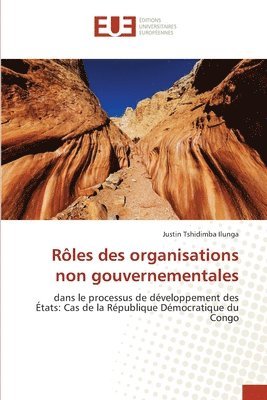 Rôles des organisations non gouvernementales 1