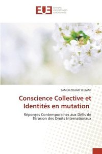 bokomslag Conscience Collective et Identités en mutation
