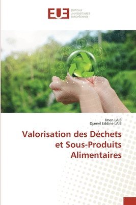 bokomslag Valorisation des Déchets et Sous-Produits Alimentaires
