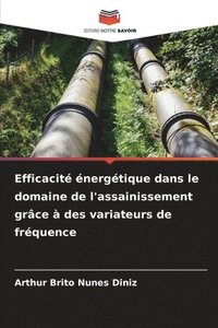 bokomslag Efficacité énergétique dans le domaine de l'assainissement grâce à des variateurs de fréquence
