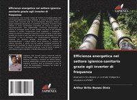 bokomslag Brito Nunes Diniz, A: Efficienza energetica nel settore igie