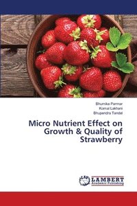 bokomslag Micro Nutrient Effect on Growth & Quality of Strawberry