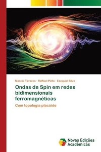 bokomslag Ondas de Spin em redes bidimensionais ferromagnticas