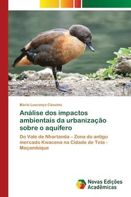 bokomslag Anlise dos impactos ambientais da urbanizao sobre o aqufero