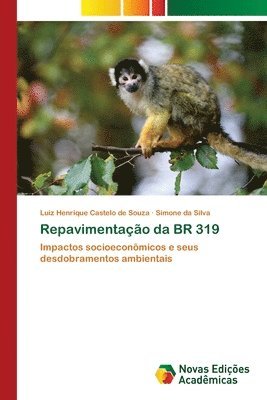 Repavimentao da BR 319 1