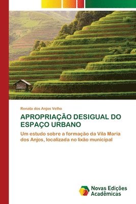 bokomslag Apropriao Desigual Do Espao Urbano