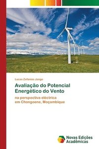 bokomslag Avaliao do Potencial Energtico do Vento