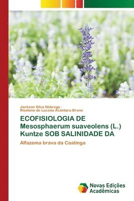 bokomslag ECOFISIOLOGIA DE Mesosphaerum suaveolens (L.) Kuntze SOB SALINIDADE DA