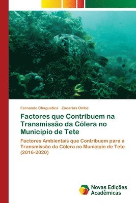 Factores que Contribuem na Transmisso da Clera no Municipio de Tete 1