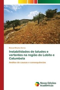 bokomslag Instabilidades de taludes e vertentes na regio do Lobito e Catumbela