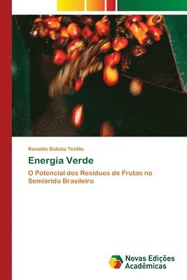 Ronaldo Batista Teófilo - Energia Verde, Häftad